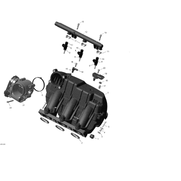02- Air Intake Manifold and Throttle Body