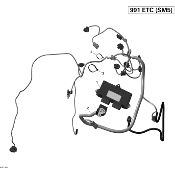 10- Engine Harness And Electronic Module