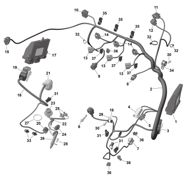 01- ROTAX - Engine Harness And Electronic Module