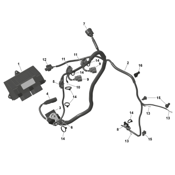 01- ROTAX - Engine Harness And Electronic Module