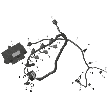 01- ROTAX - Engine Harness And Electronic Module