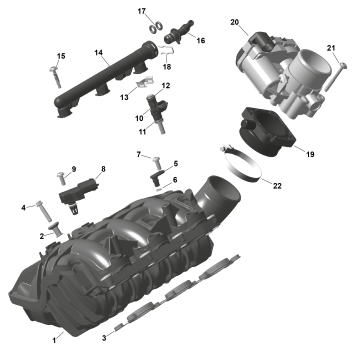 01- ROTAX - Air Intake Manifold And Throttle Body