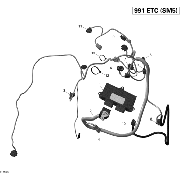10- Engine Harness And Electronic Module