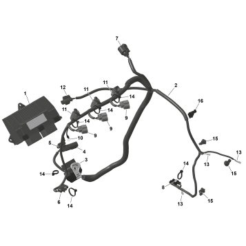 01- ROTAX - Engine Harness And Electronic Module