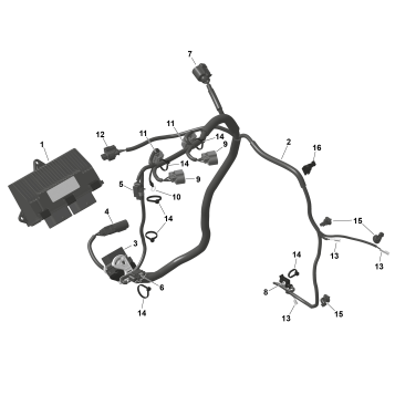 01- ROTAX - Engine Harness And Electronic Module