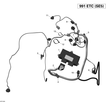 10- Engine Harness And Electronic Module