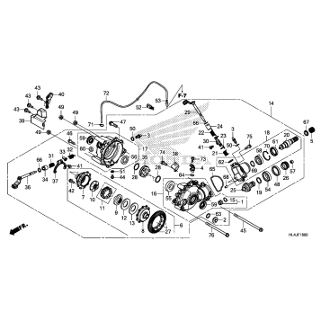 FRONT FINAL GEAR (1)