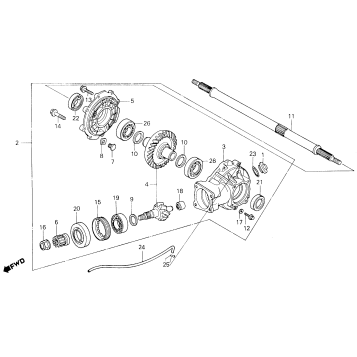 FINAL DRIVEN GEAR + REAR AXLE SHAFT