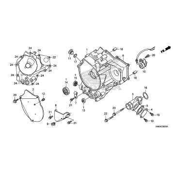 REAR CRANKCASE COVER