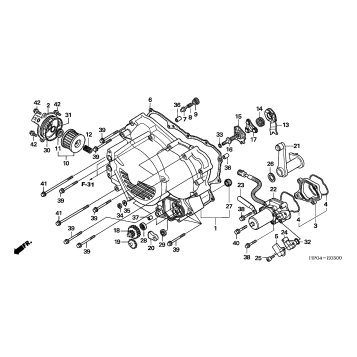 FRONT CRANKCASE COVER (TRX500FE)
