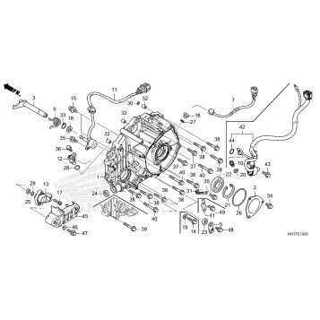 REAR CRANKCASE COVER