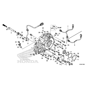 REAR CRANKCASE COVER
