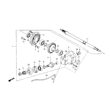 FINAL DRIVEN GEAR + REAR AXLE SHAFT