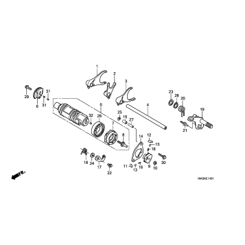 GEARSHIFT DRUM (TRX300EX'07-)