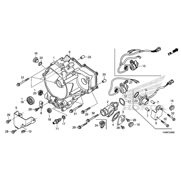 REAR CRANKCASE COVER