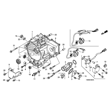 REAR CRANKCASE COVER