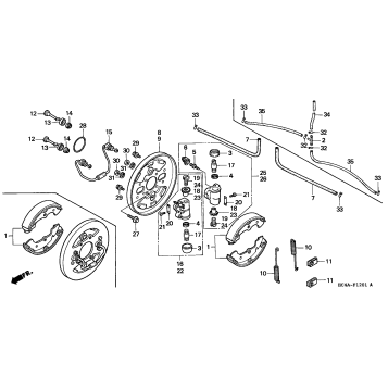 TRX300FWFRONT BRAKE PANEL (TRX300FW)
