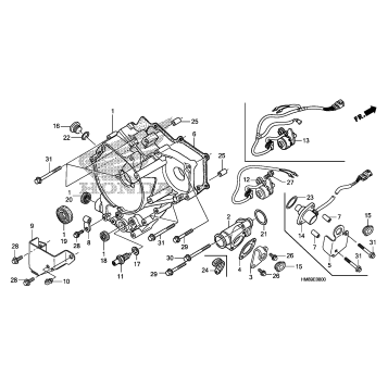 REAR CRANKCASE COVER