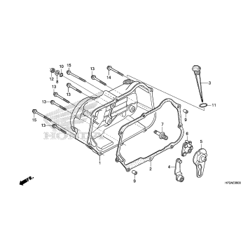 RIGHT CRANKCASE COVER