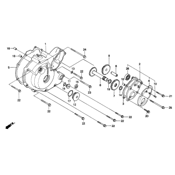 LEFT CRANKCASE COVER (1)
