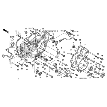REAR CRANKCASE COVER