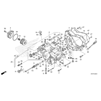 FRONT CRANKCASE COVER    (1)