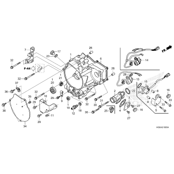 REAR CRANKCASE COVER