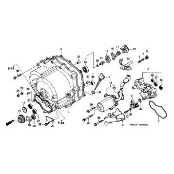 FRONT CRANKCASE COVER (TE)
