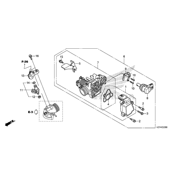 THROTTLE BODY + FUEL INJECTOR