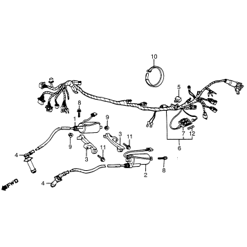 WIRE HARNESS + IGNITION COIL