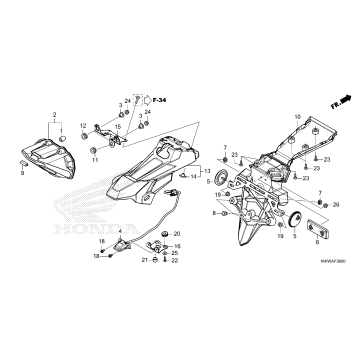 TAILLIGHT@LICENSE LIGHT