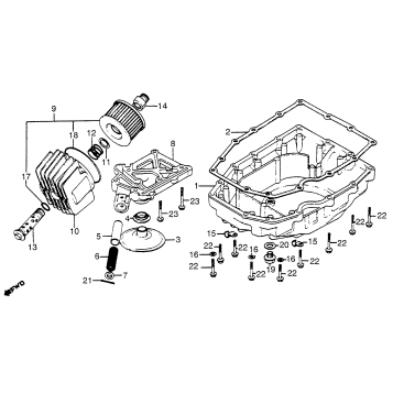 OIL FILTER + OIL PAN