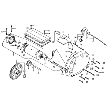STARTER MOTOR + CRANKCASE COVER