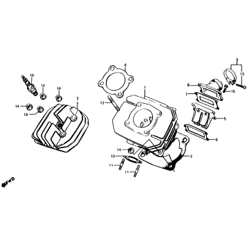 CYLINDER + CYLINDER HEAD