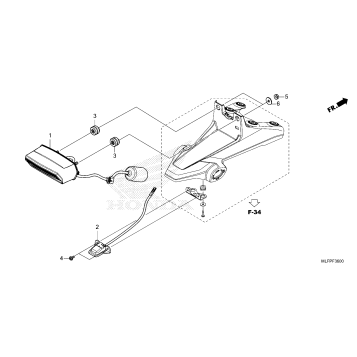 TAILLIGHT@LICENSE LIGHT