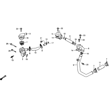 WATER PIPE + THERMOSTAT