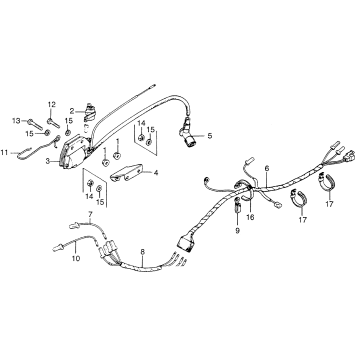 WIRE HARNESS + IGNITION COIL