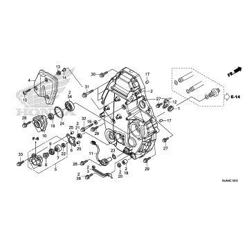 REAR CRANKCASE COVER