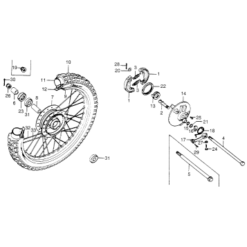 FRONT WHEEL + BRAKE PANEL