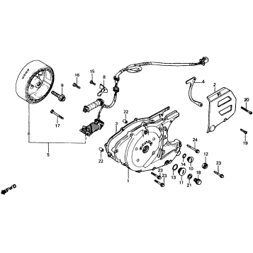 LEFT CRANKCASE COVER + ALTERNATOR 81-82