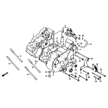 CRANKCASE + OIL PUMP