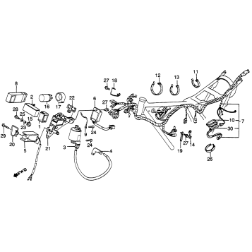 WIRE HARNESS + IGNITION COIL