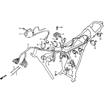 WIRE HARNESS + IGNITION COIL 79-80