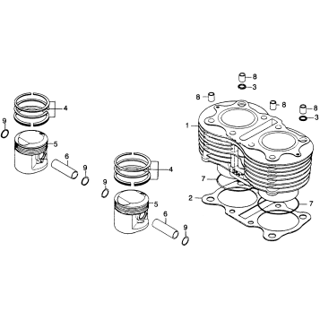 CYLINDER + PISTON