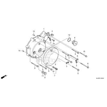 LEFT CRANKCASE COVER