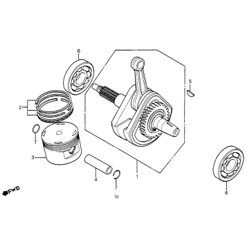 CRANKSHAFT + PISTON 83-84
