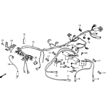 WIRE HARNESS + IGNITION COIL