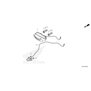 TAILLIGHT@LICENSE LIGHT