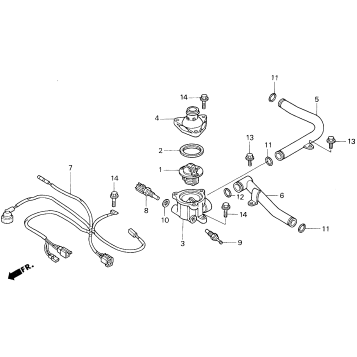 WATER PIPE + THERMOSTAT