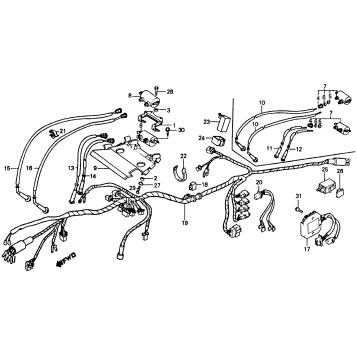 WIRE HARNESS + IGNITION COIL